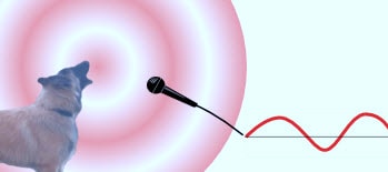 DEFINITION OF ANALOG