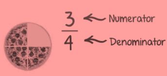 Definition of Numerator