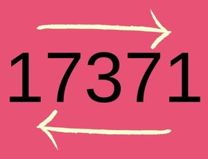 Definition of Palindrome