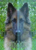 DEFINITION OF AXIS OF SYMMETRY